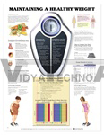 Maintaining a Healthy Weight Anatomical Chart